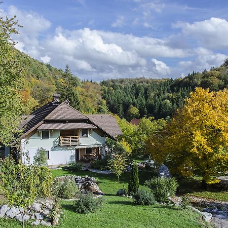 Miskar Rooms Cerknica Bagian luar foto