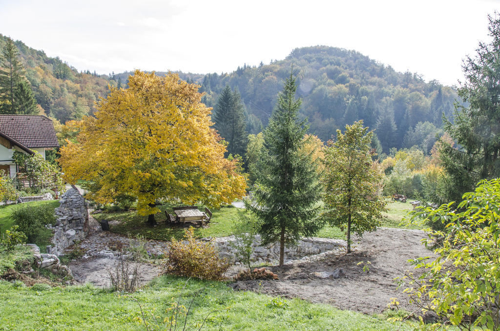 Miskar Rooms Cerknica Bagian luar foto