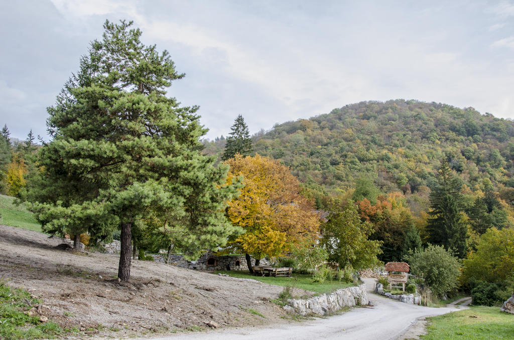 Miskar Rooms Cerknica Bagian luar foto