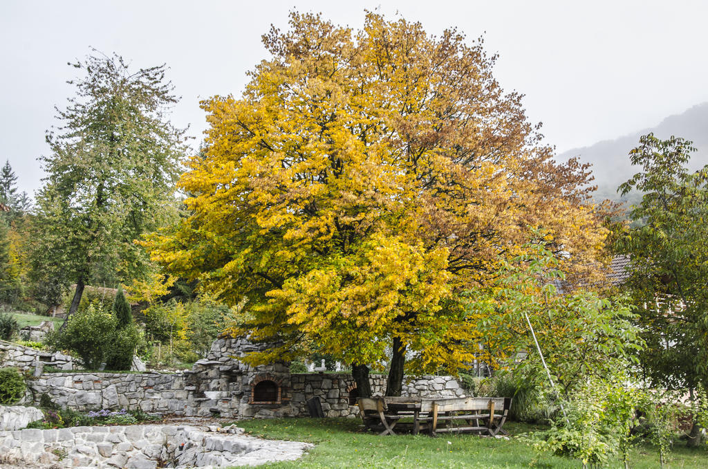 Miskar Rooms Cerknica Bagian luar foto