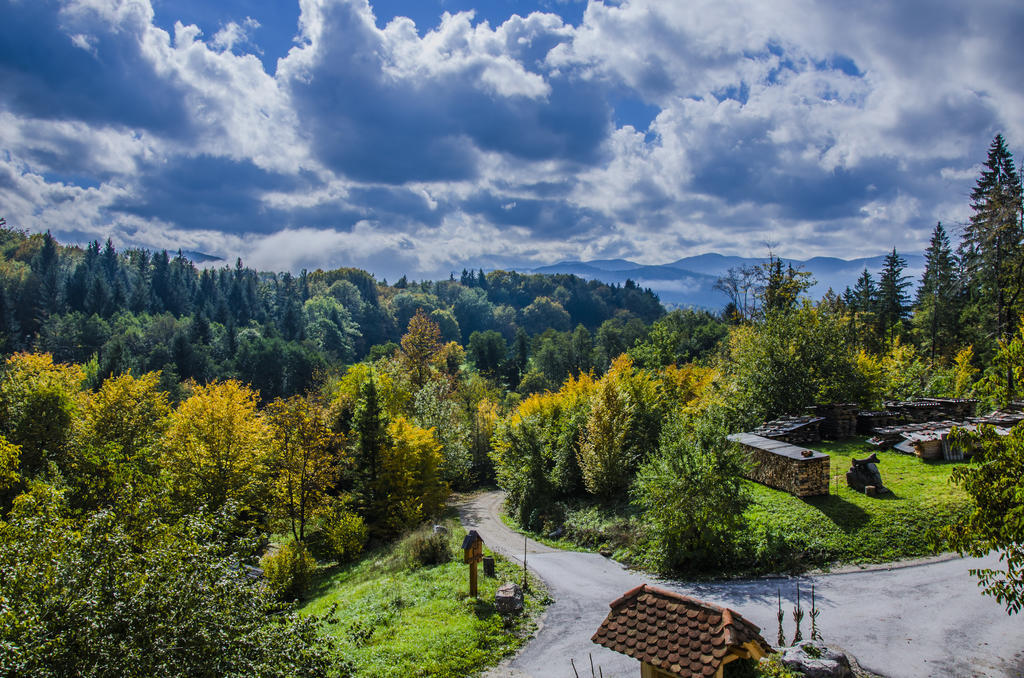 Miskar Rooms Cerknica Bagian luar foto